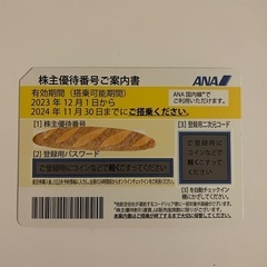 ANA株主優待2,000円有効期間2024.11.30