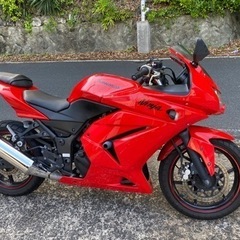 【ネット決済】ninja 250 R⭐️綺麗な赤⭐️すぐ乗れます❣️