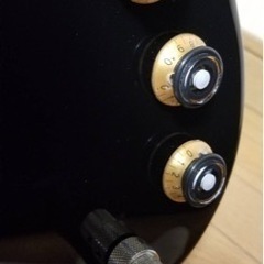 E-II GROOVER GB-5 ESP 定価27万 ハードケース付き 美品5弦