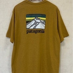 Patagonia パタゴニア Line Logo Ridge ...