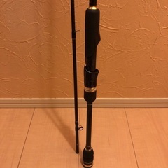 スクイッドマニア800MRAMASA テスターズチューン