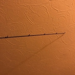 スクイッドマニア800MRAMASA テスターズチューン