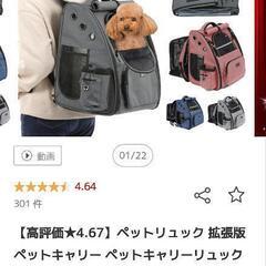 猫ちゃん お迎え用品 (バラ売り相談可)