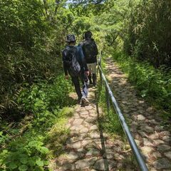 6月15日(土)生駒山ゆる登山参加メンバー募集😉