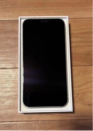 iPad iPhone12