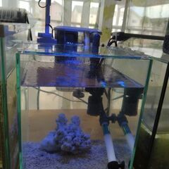 海水魚用水槽セット
