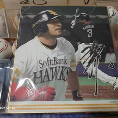 野球選手　サインボール16個+色紙3枚+カード+記念シート