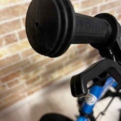 決定しました☆ストライダー14Xペダル付きモデル新古品