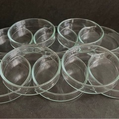 ガラス製シャーレの蓋
10個　新品未使用