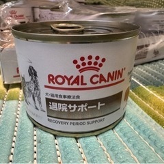 ロイヤルカナン 犬猫用療法食 缶詰 退院サポート 195g 10...
