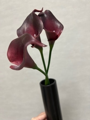 カラーの花　フェイク