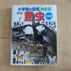 小学館の図鑑NEO 　昆虫　DVD付