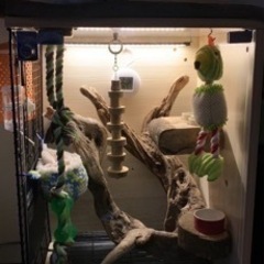 最終値引き！☆モモンガ・インコ等ゲージ（LEDライト・ヒーター3つ付き）☆引取り限定