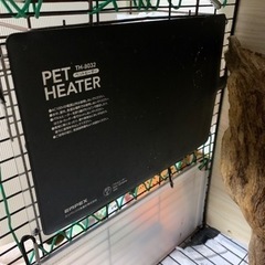 最終値引き！☆モモンガ・インコ等ゲージ（LEDライト・ヒーター3つ付き）☆引取り限定