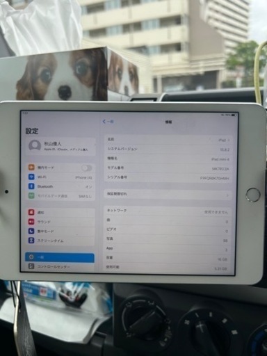 その他 iPad mini4