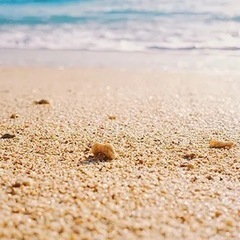 海砂