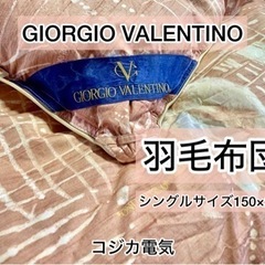 GIORGIO VALENTINO ジョルジオ バレンチノ 羽毛...