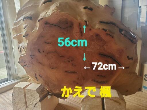 かえで 楓 一枚板