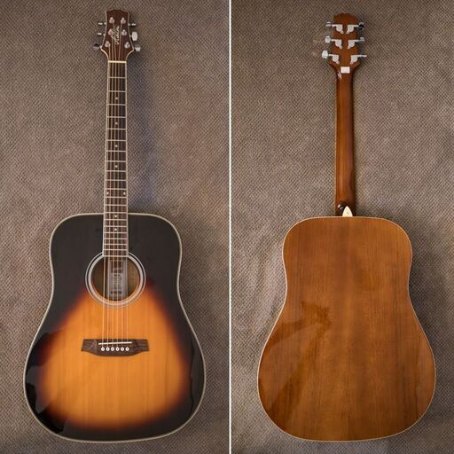 sale!! Ashton D24JP  初心者セット