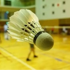 バドミントン🏸