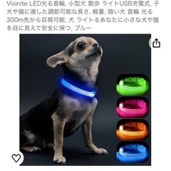 LED光る首輪ブルー小型犬用XS