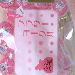 駄菓子　お菓子　フラワーヨーグル21個