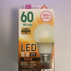 （未開封品）DAISO　LED電球　電球色　60W形相当　広配色タイプ
