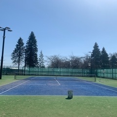 硬式テニス🎾メンバー募集‼️