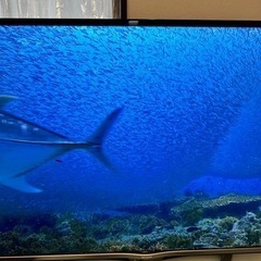 SHARP AQUOS LC-50US5 4K 50インチ