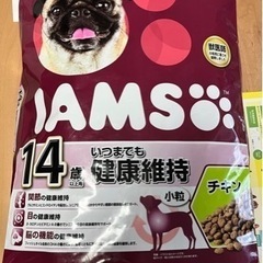 アイムス　14歳以上　チキン　犬用　5キロ