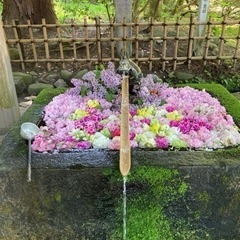 🌸お友達募集🌸