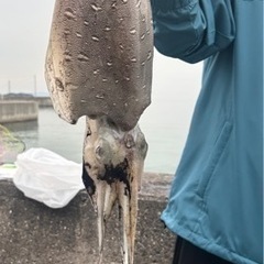 釣り友達募集🎣