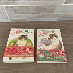 キジトラ猫の小梅さん3巻と9巻