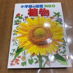 小学館の図鑑NEO 植物　子ども本/CD/DVD 参考書