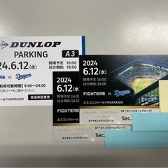 値下げ64,000円→60,000円】6/12 エスコンフィールド北海道 