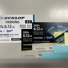 【ネット決済・配送可】6/12 エスコンフィールド北海道　ダイヤ...