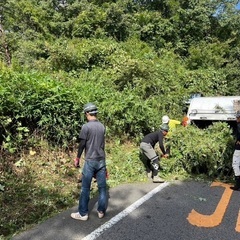 除草、軽作業