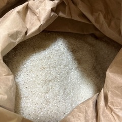 低農薬米　お米