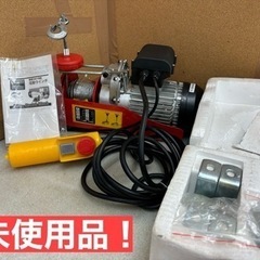 I309 🌈 未使用品！ 家庭用(100V)  電動ウインチ (...