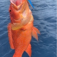 急募　明日　6月5日　宜野湾　　船釣り　ライトキャスティン…