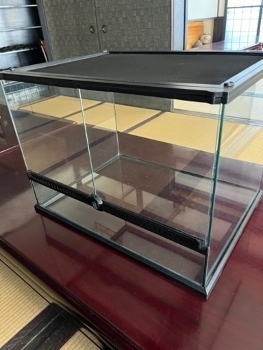 爬虫類育成ゲージ