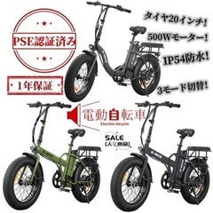 E-bike モビリティバイク ひねちゃ