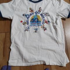 ディズニー  Tシャツ  Mサイズ  40周年