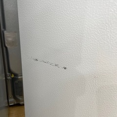 IRIS OHYAMA(アイリスオーヤマ)2ドア冷蔵庫　AF162 2021年製