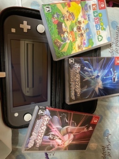 SwitchLiteセット 多少なら値引き○