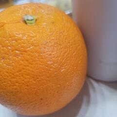 オレンジ　ビタミン補給に☺️　　果物