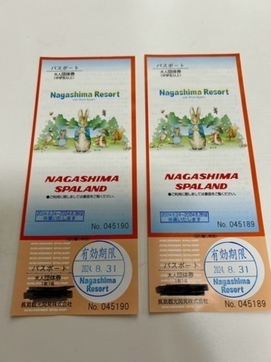 ★ナガシマスパーランドパスポート★2枚★