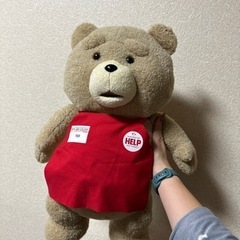 テッドTed ぬいぐるみ