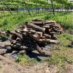 薪　マキ原木　広葉樹　薪ストーブ用　キャンプ　焚き火　
