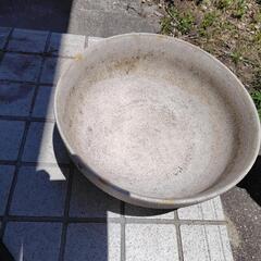 【お話し中】水鉢　メダカ　ビオトープ